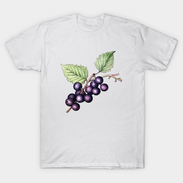 Blackcurrant Art T-Shirt by Pastel Craft